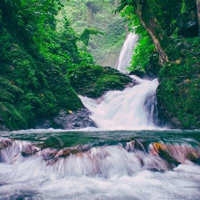 杀戮纹章官方版下载